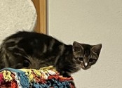 IMG_3417.jpg