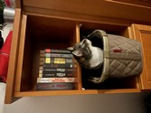 IMG_0003.jpeg