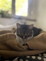 IMG_9875.jpeg