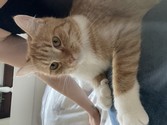 IMG_0973.jpeg