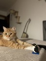 IMG_8228.jpeg