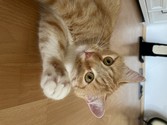 IMG_8973.jpeg