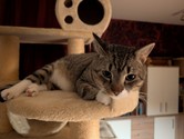 21515399-b289-4e58-8348-ff340dbe6f1b.jpeg