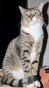 52a5780d-71cf-4280-8957-f7ff3c1bf3fb.jpeg