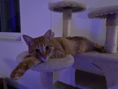 IMG_3610.jpeg