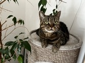 IMG_2544.jpeg